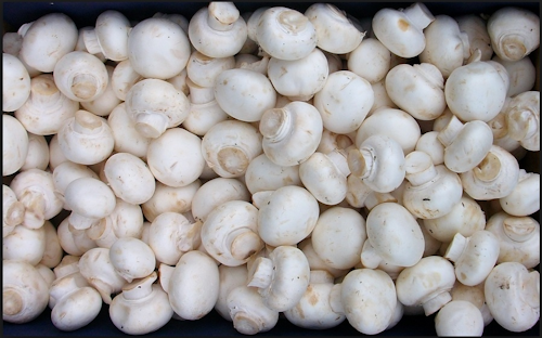 Mnet 172980 White Button Mushrooms Lower Estrogen Via Inhibiting Aromatase1