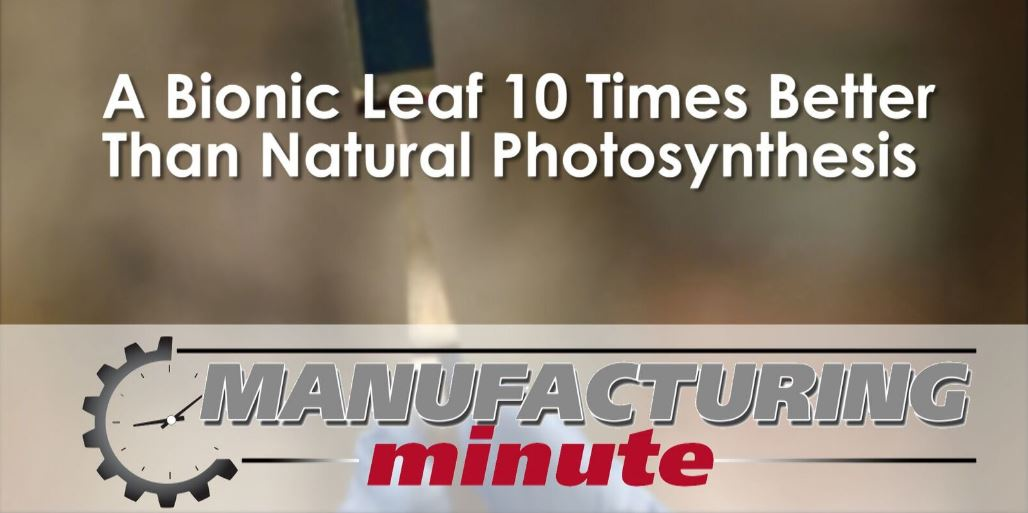 Mnet 79211 Mm Bionic Leaf