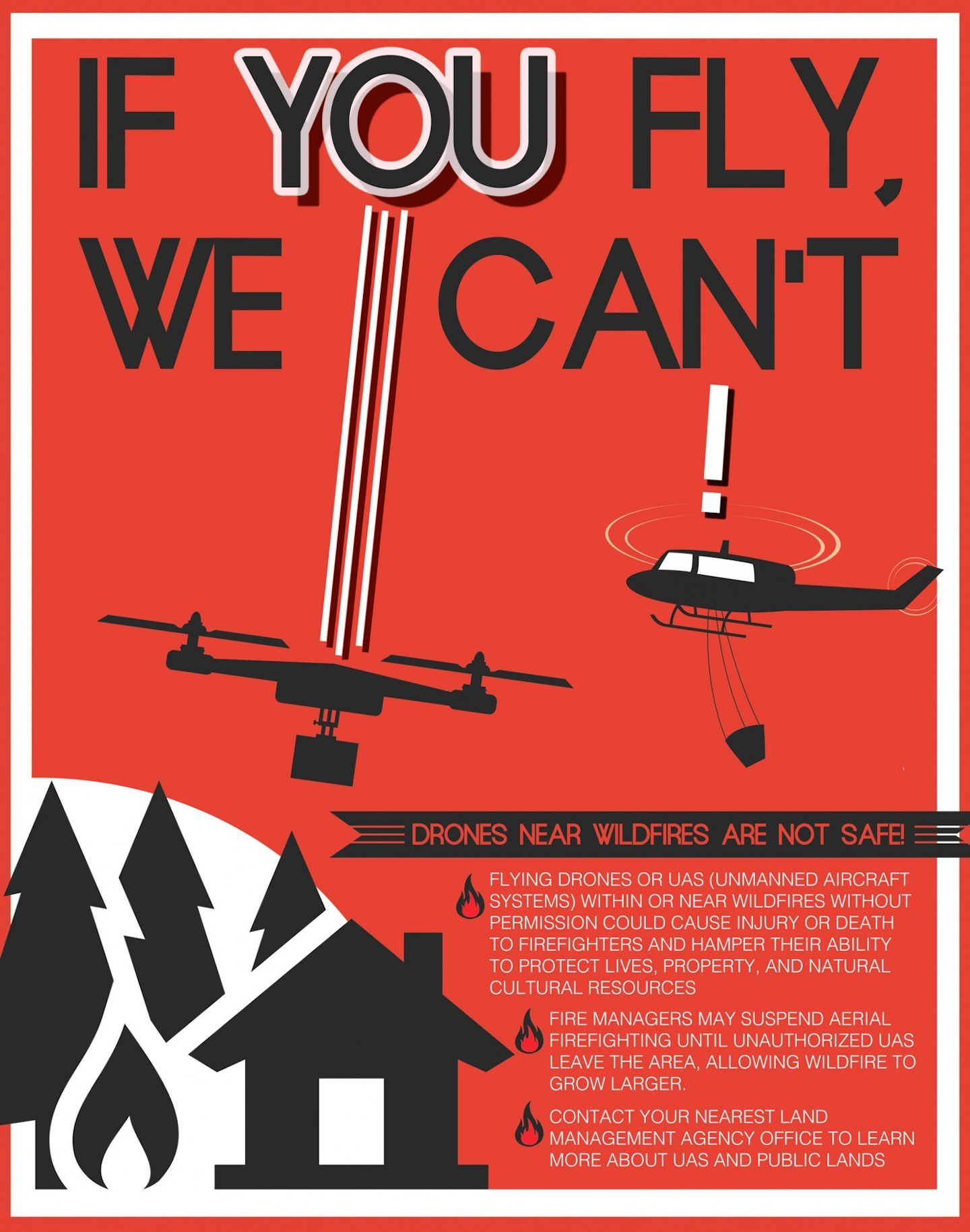 (U.S. Forest Service via AP, File)