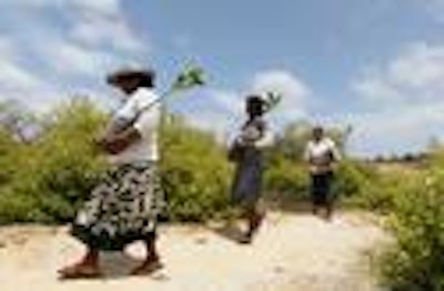 Mnet 124073 Aptopix Sri Lanka Protecting Mangroves Ap Tn