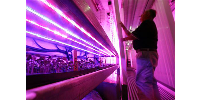 In this June 22, 2016 photo, Don Holman, an engineer at the U.S. Army Natick Soldier Research, Development and Engineering Center in Natick, Mass., adjusts a vertical rack under LED grow lights as kale and other lettuces sprout inside a refurbished shipping container. Holman is testing the idea of growing vegetables hydroponically in a shipping container that could be put on board a submarine to provide fresh vegetables to sailors. (AP Photo/Elise Amendola)
