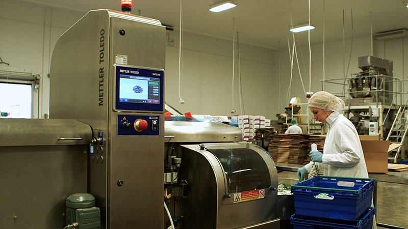 METTLER TOLEDO
