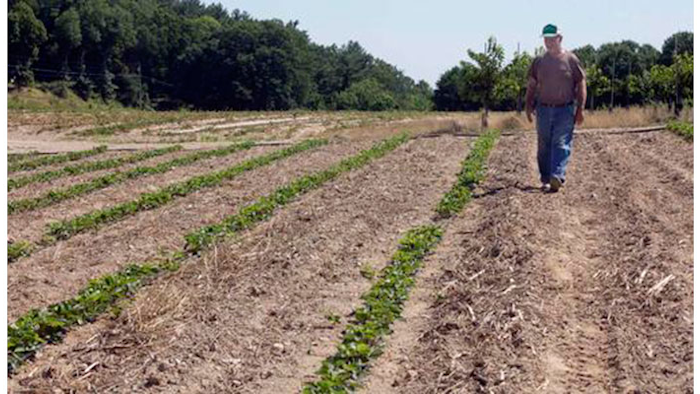 Mnet 151383 Northeast Drought Listing Image