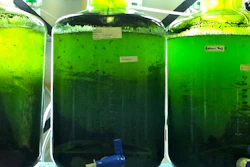 Mnet 124304 Biofuel