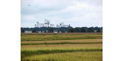 In this Aug. 18, 2016, photo, grain elevators ready for this year's rice harvest tower above Lonoke, Ark. Flooding in Louisiana, and a long period of wet weather in Arkansas, threatens to cut yields. Futures prices for rice have ticked up slightly, but economists say it is too early to say whether conditions could force grocery prices upward. (AP Photo/Kelly P. Kissel)