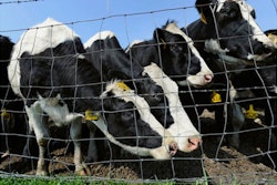 Mnet 151730 Farm Safety Story Image Listing