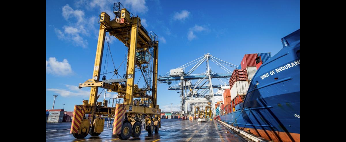 Automated Cargo Handling To Replace 50 Dockworkers At New Zealand