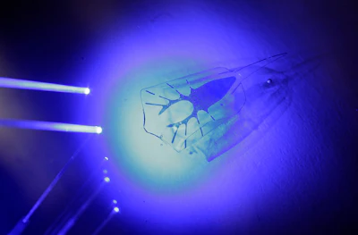 Mnet 192093 Stingray Robots Minn