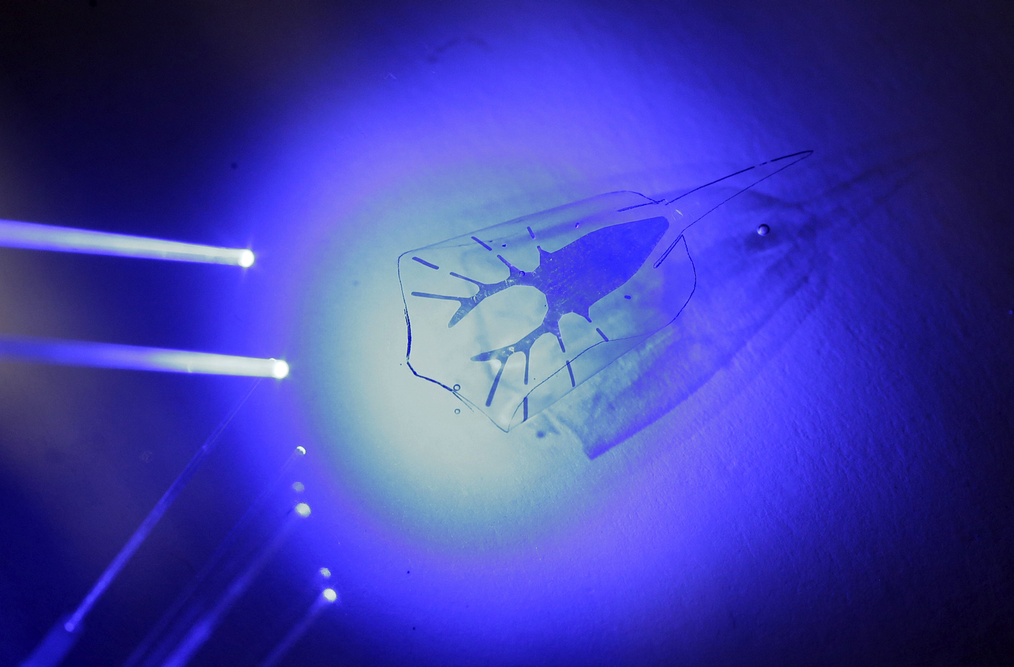Mnet 192093 Stingray Robots Minn