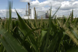 An ethanol plant stands next to a cornfield near Nevada, Iowa. (AP Photo/Charlie Riedel, File)