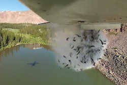 Mnet 86486 Utah Fish