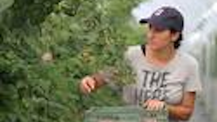 Mnet 86896 Britain Eu Seasonal Workers Ap Tn