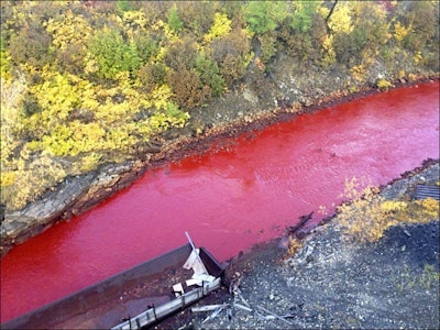 Photo: The Siberian Times
