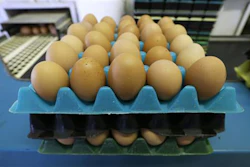 Mnet 151847 Egg Prices Listing Image