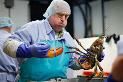 Mnet 151906 Expensive Lobster Dean 002