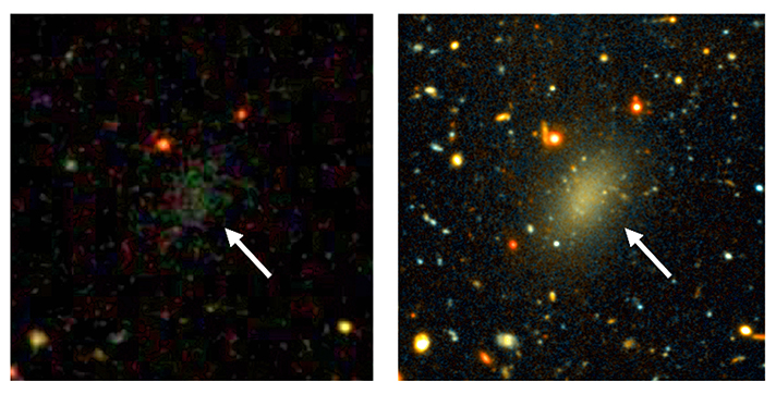 The dark galaxy Dragonfly 44. The image on the left is from the Sloan Digital Sky Survey. Only a faint smudge is visible. The image on the right is a long exposure with the Gemini telescope, revealing a large, elongated object. Dragonfly 44 is very faint for its mass and consists almost entirely of dark matter. (Images credit: Pieter van Dokkum, Roberto Abraham, Gemini, Sloan Digital Sky Survey)