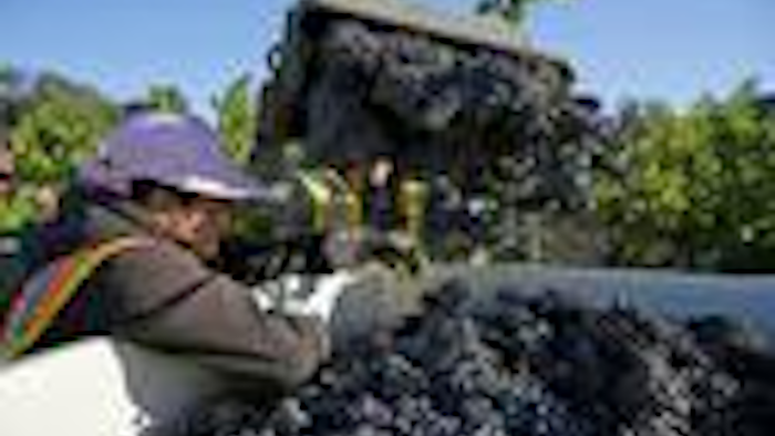 Mnet 90271 California Wine Harvest Ap Tn