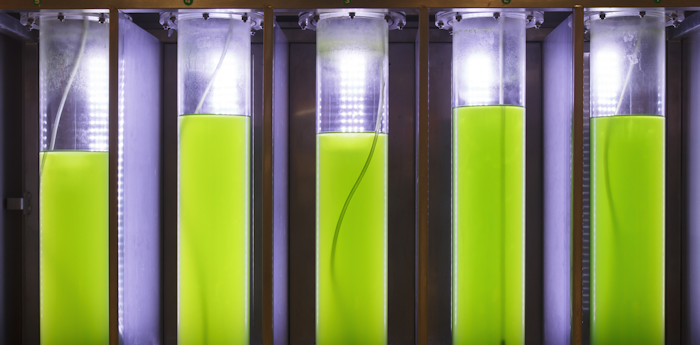 Exxon Wades Into Uncharted Territory Of Biofuel Research ...