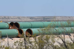 Mnet 124637 Mexicopipe