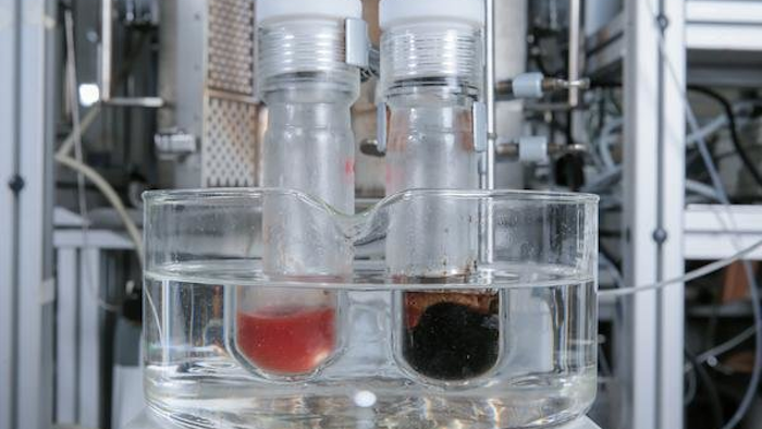 Mnet 124642 Biomolecule