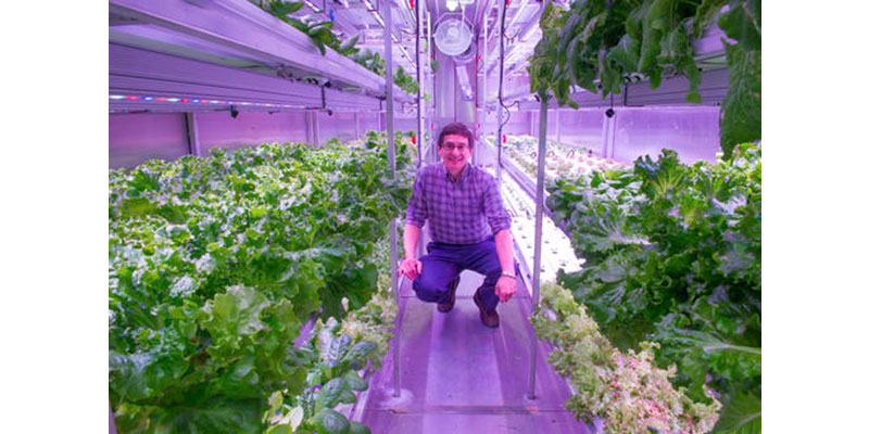 In this Oct. 19, 2016 photo provided by Will Anderson, Anderson, president of the Native Kikiktagruk Inupiat Corp., stands inside his Native corporation's new indoor hydroponics farm in Kotzebue, Alaska. The goal of the venture is to grow kale, lettuces and other greens year-round, despite the region's unforgiving climate. (Will Anderson via AP)