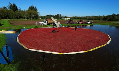 Mnet 152813 Cranberry Listing1