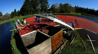 Mnet 152814 Cranberry Listing8