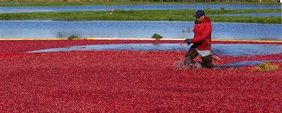 Mnet 152815 Cranberry Listing9