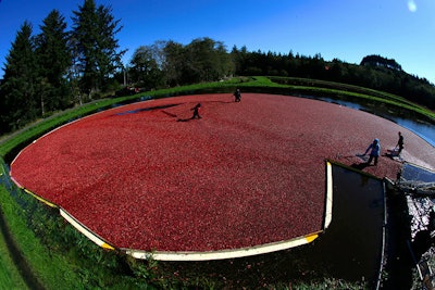 Mnet 152816 Cranberry Listing4