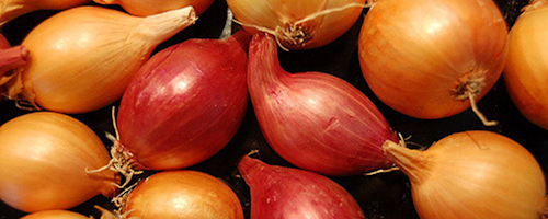 Mnet 173998 Onions