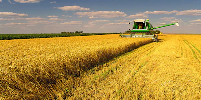 Mnet 152966 Ag Wheat Listing Image