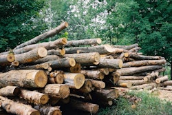 Mnet 99801 Timberbig