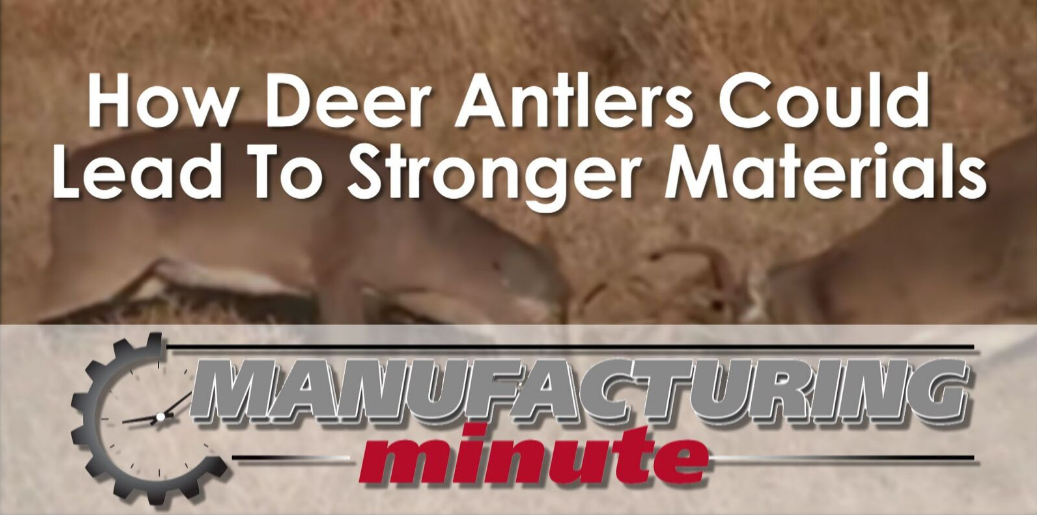 Mnet 100161 Mm Deer Antlers