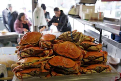Mnet 153084 No Dungeness Crabs Ch Osbo Listing