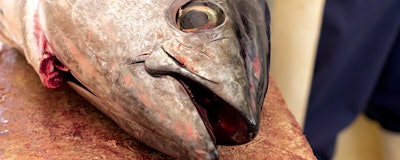 Mnet 153124 Fish Head 1280x512 002