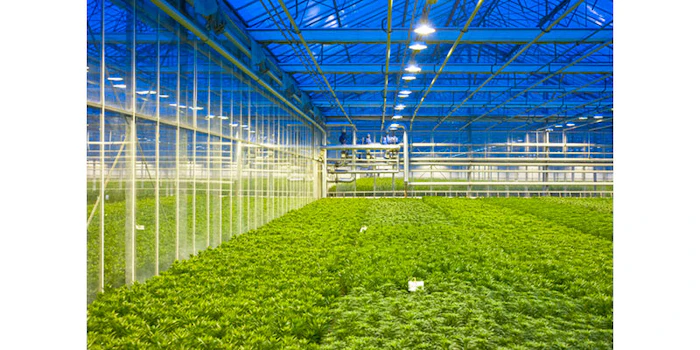 Organicaworld Breaks Ground To Build 2 Additional 8 Acre Hydroponic Greenhouse Facilities Manufacturing Net