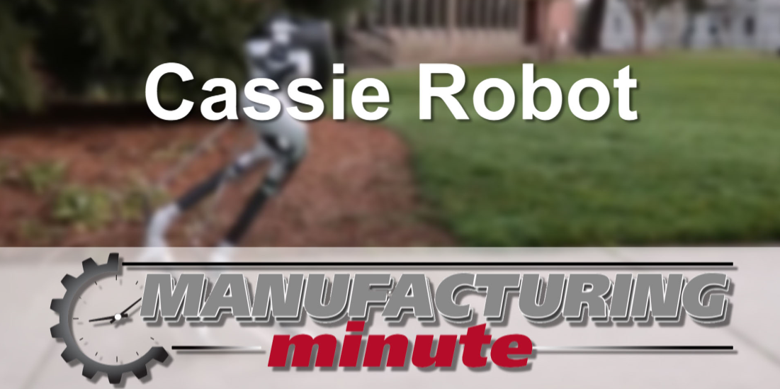 Mnet 102741 Mm Cassie Robot
