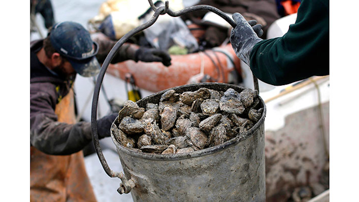 Mnet 153414 Oysters Listing Image