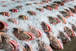 Mnet 153491 Fish 1280x512