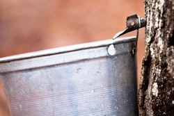 Mnet 153606 Maple Syrup Listing 0