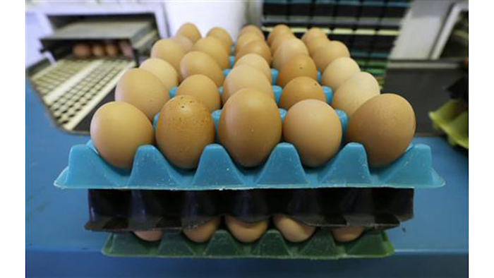 Mnet 153622 Egg Prices Listing Image
