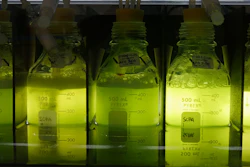 Mnet 192831 Synthetic Life