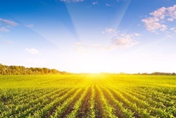 Mnet 153931 Crops 800x400