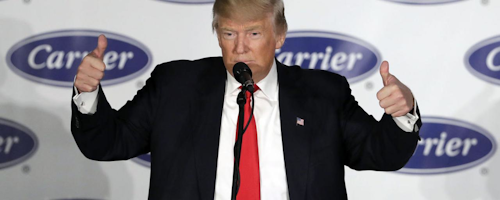 Mnet 174636 Trump Carrier Plant Large