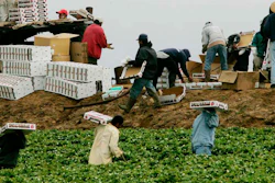 Mnet 192866 Immigrant Workers Ap