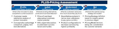 Chart 1: Structure of the PLUS-Pricing Assessment