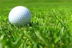Mnet 106066 Golf Balls Stock