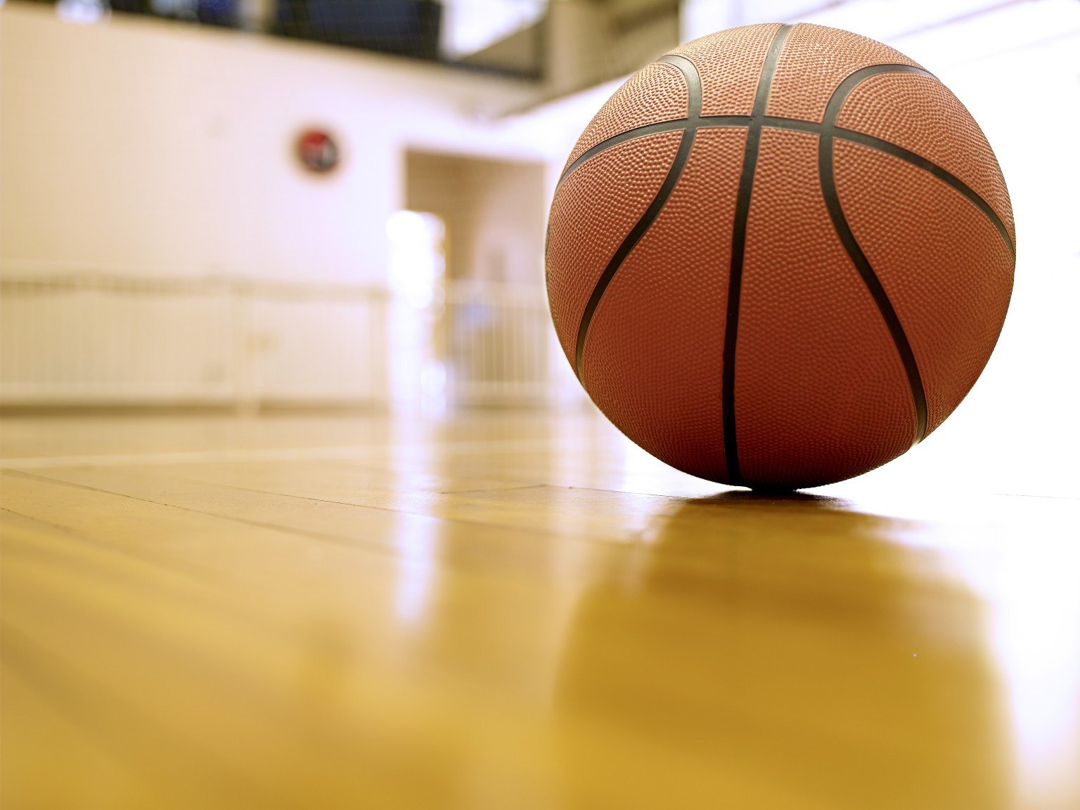 Mnet 106136 Basketballs