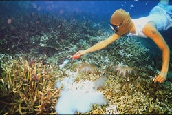 Mnet 125364 Cyanidefishingbig