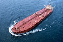 Mnet 125371 Stellardaisy